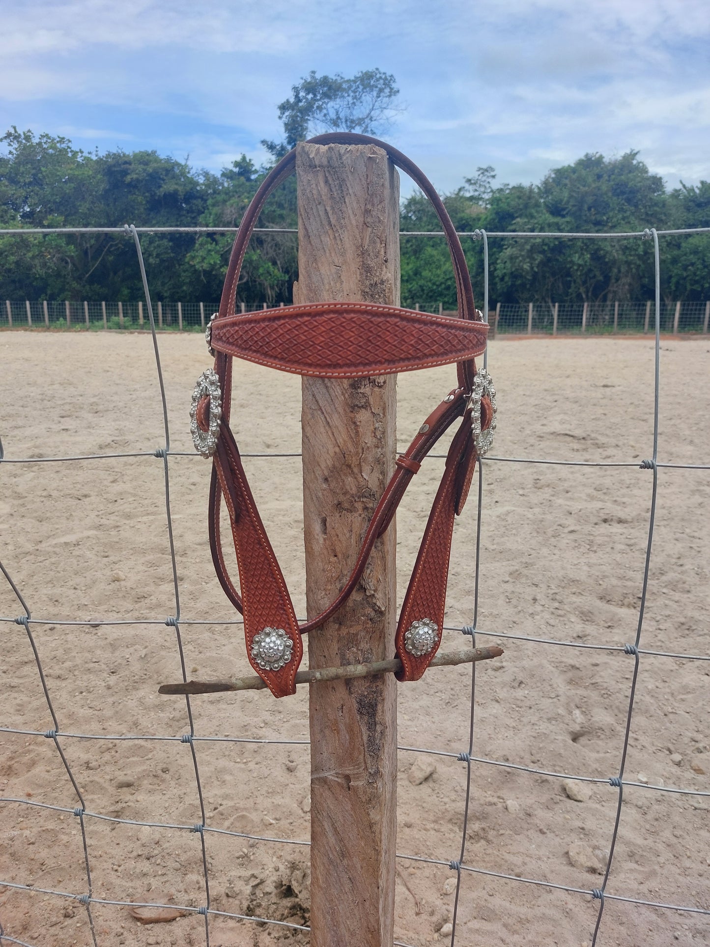 Cabezal Browband Concho/ Brillante